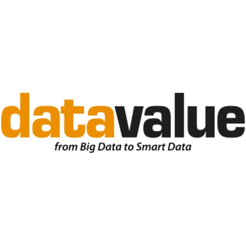 DataValue logo