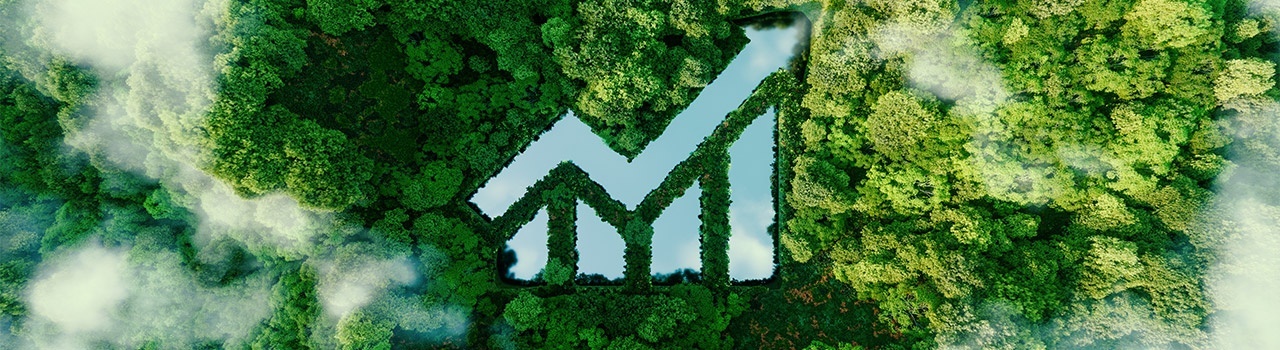 definizione di sostenibilità aziendale: laghi a formare l'immagine di un grafico in positivo in una foresta