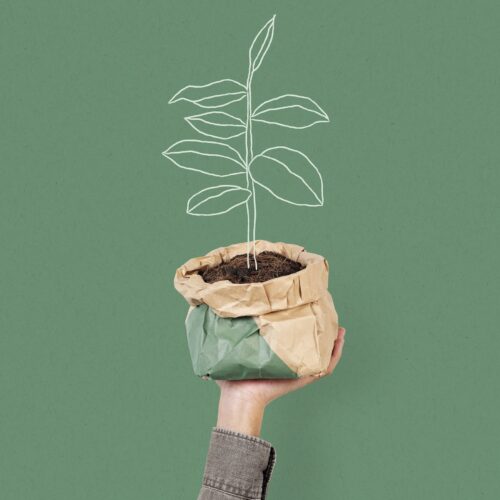 grafica di mano che sorregge una pianta