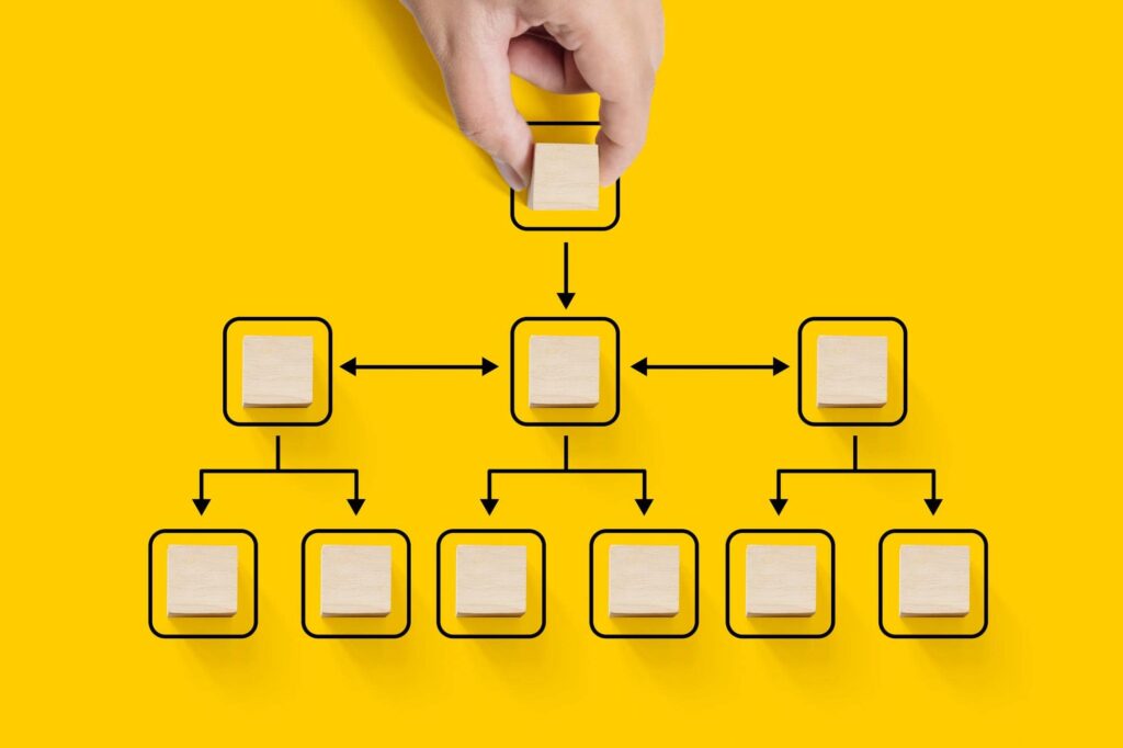 rappresentazione grafica di un organigramma funzionale