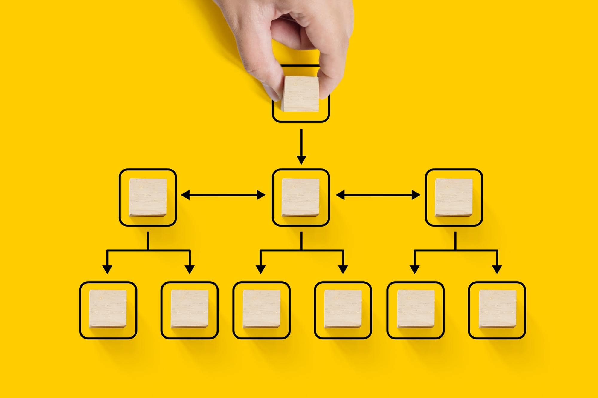 rappresentazione grafica di un organigramma funzionale